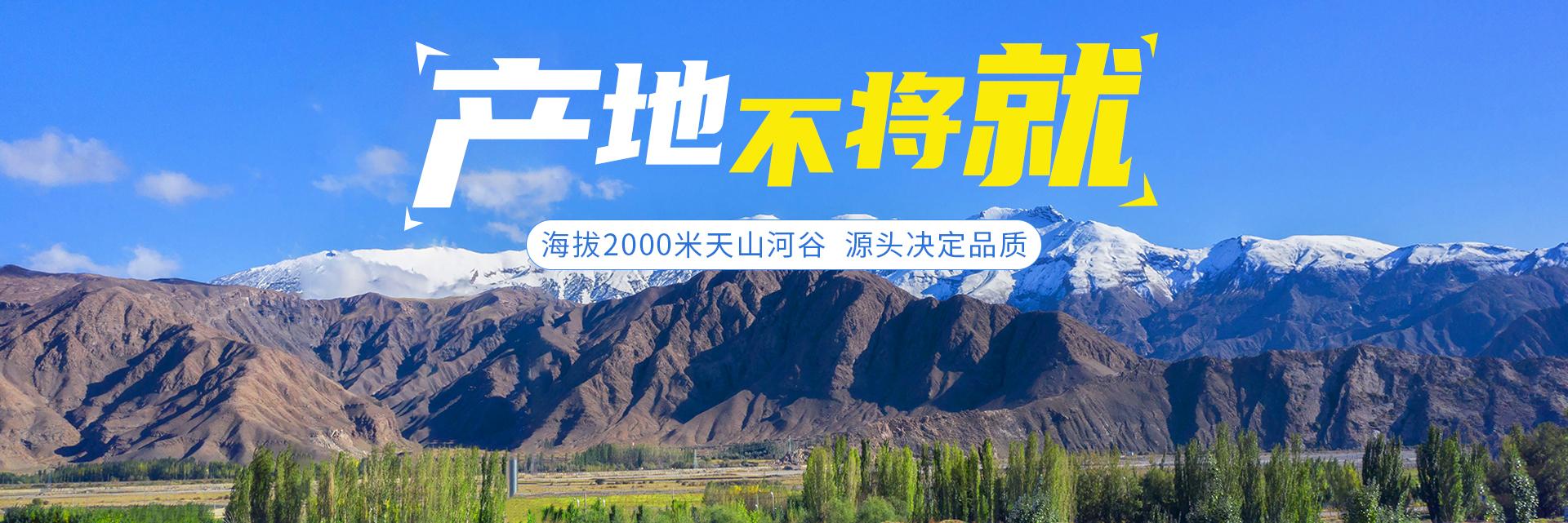 棘鲜丰