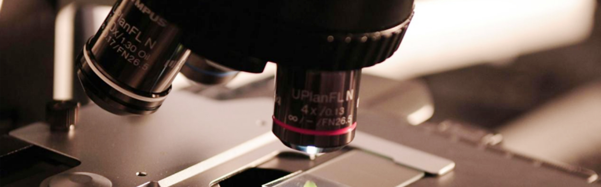 90722334.jpg 15262663.jpg